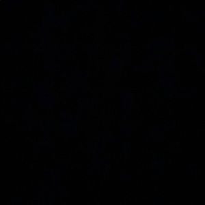 Meet your Posher, Lacey